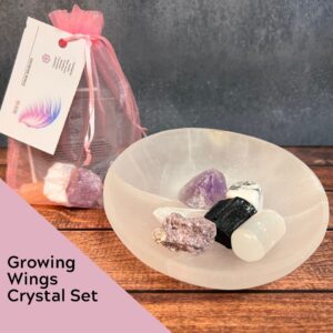 Product Image for  Growing Wings Crystal Set