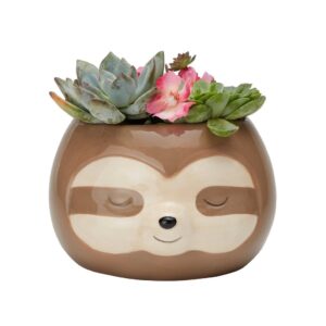 Product Image for  Zen Sloth Planter