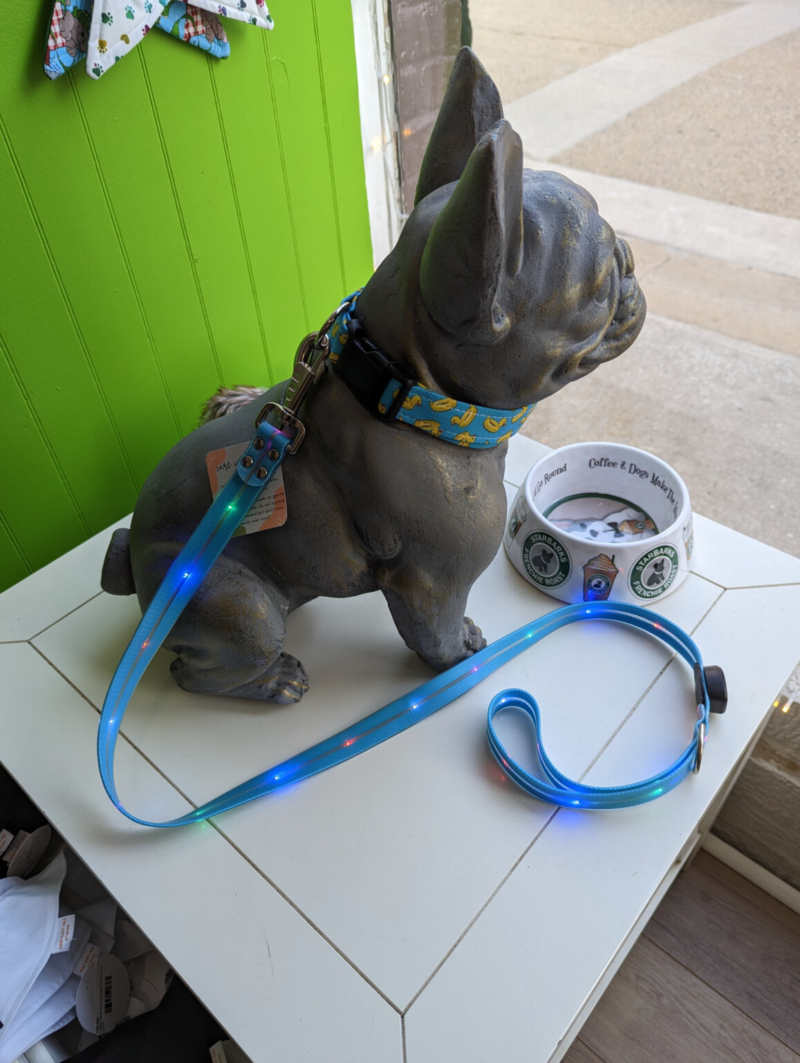 LED Dog Leash Light Up Safety Leash 4ft Shop Oakland County Main