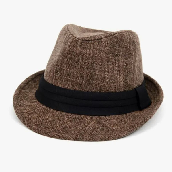 Product Image for  Winter Fedora Hat – Black Or Brown