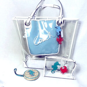 Product Image for  Coach four piece beach bag set