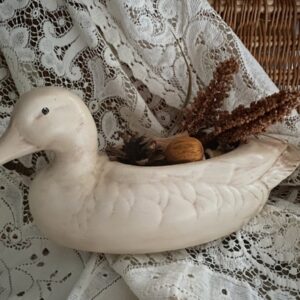 Product Image for  Cream Duck Planter