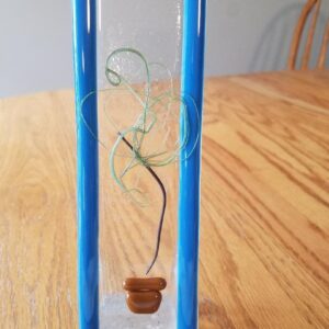 Product Image for  Potted Tree, Glass, Diane Woods FG050