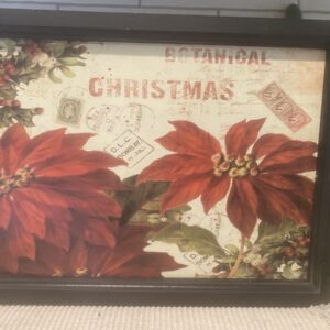 Product Image for  Botanical Christmas Poinsettia Picture