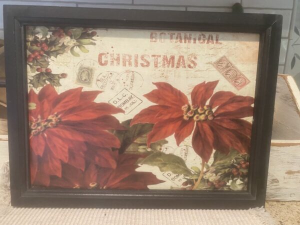 Product Image for  Botanical Christmas Poinsettia Picture