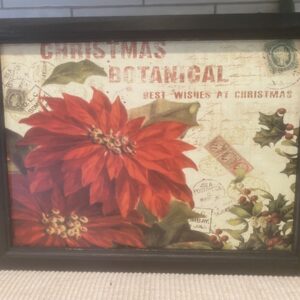 Product Image for  Christmas Botanical Poinsettia Picture