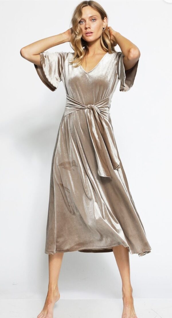 Product Image for  Velvet Tie Short Flutter Short Sleeved Dress