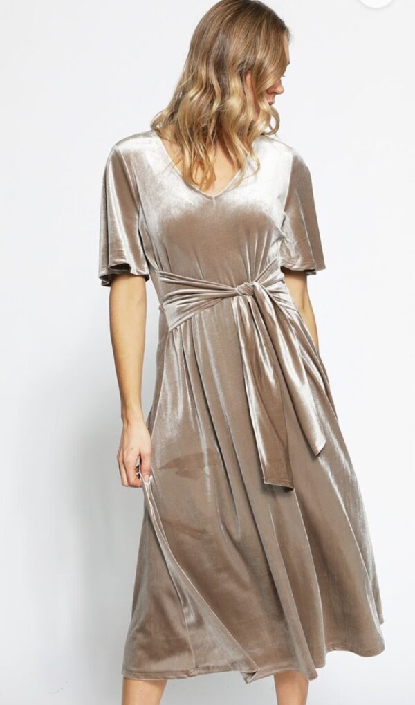Product Image for  Velvet Tie Short Flutter Short Sleeved Dress