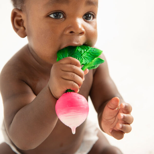 Product Image for  Oli & Carol Fruit & Veggie Teethers