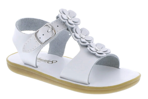 Product Image for  ECO-JASMINE