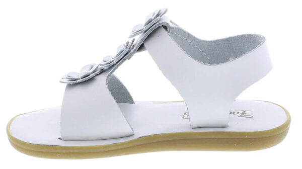 Product Image for  ECO-JASMINE