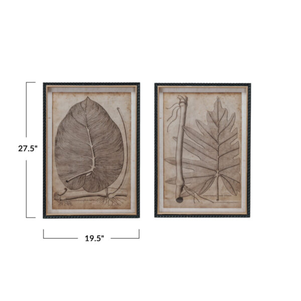 Product Image for  Framed Botanical Art