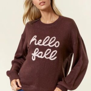 Product Image for  Hello Fall Sweater