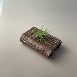 Product Image for  Brown Air Plant Vase with Plant, Stoneware, Mary Neff MNAPV2