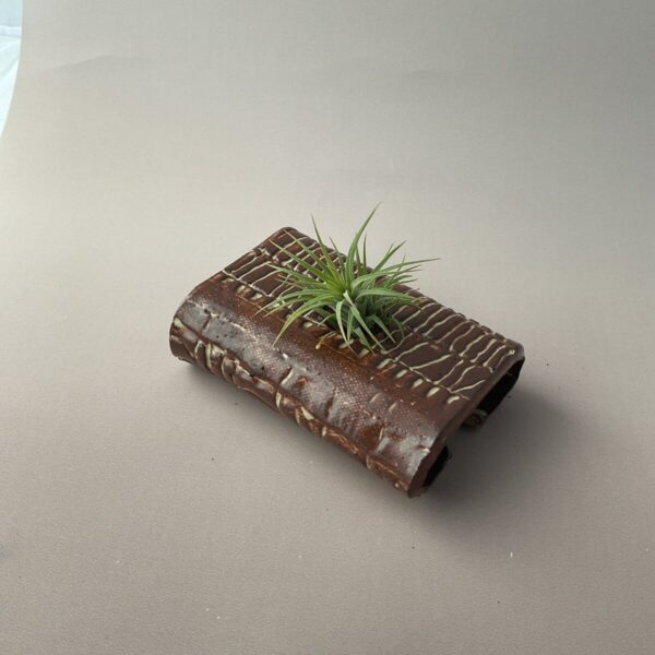 Product Image for  Brown Air Plant Vase with Plant, Stoneware, Mary Neff MNAPV2