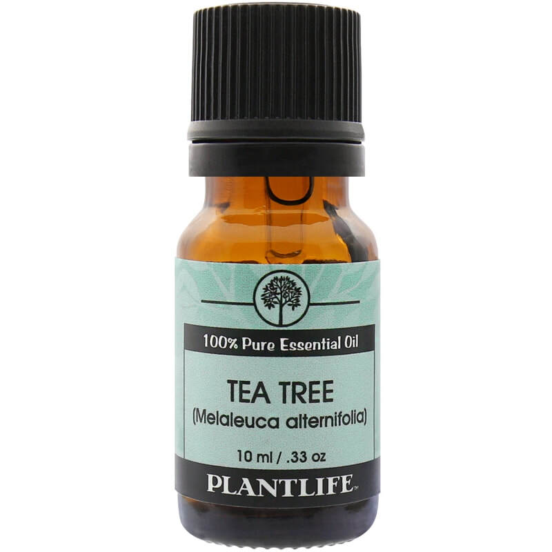 Downloaded from Square for use with Vendor ID (404) and Product ID (Square: SNYW6P2AS44GFSQY4JMKAXGT - WC: 72231). Product Image for Tea Tree Oil