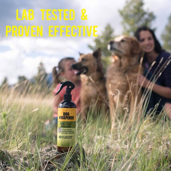 Product Image for  Dog Whisperer Tick + Flea Repellent – 16 oz.