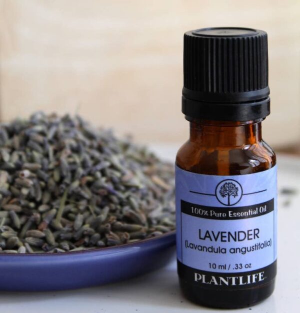 Product Image for  Lavender Essential Oil