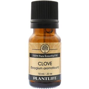 Product Image for  Clove Bud Essential Oil