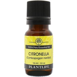 Product Image for Citronella Essential Oil