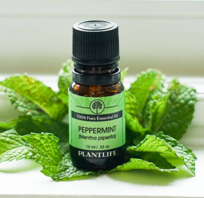Downloaded from Square for use with Vendor ID (404) and Product ID (Square: ZSFCEZTNVD3PL2F4O2KGQ2NV - WC: 72214). Product Image for Peppermint Essential Oil