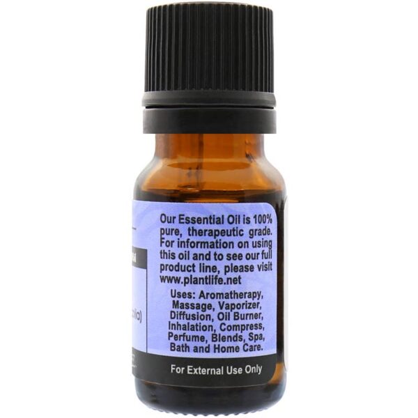Product Image for  Lavender Essential Oil