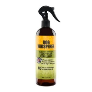 Product Image for  Dog Whisperer Tick + Flea Repellent – 16 oz.