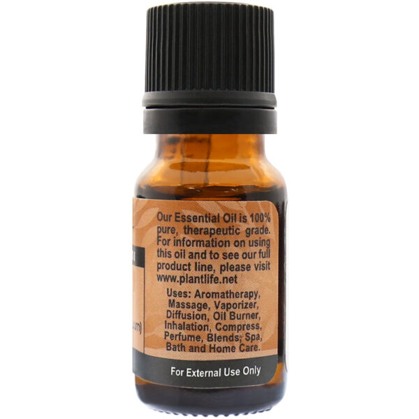 Product Image for  Cinnamon Oil