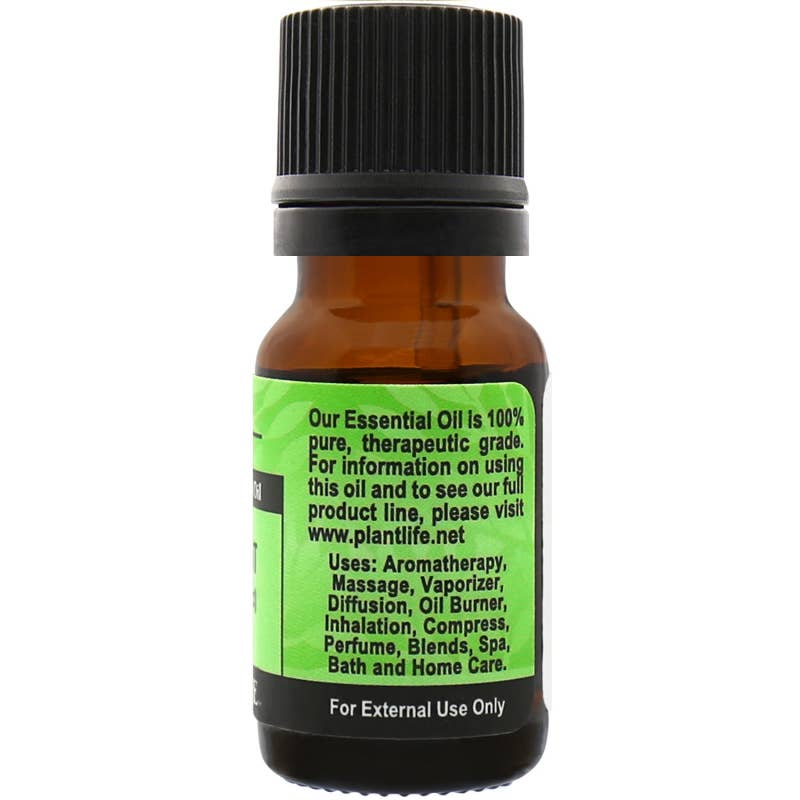 Downloaded from Square for use with Vendor ID (404) and Product ID (Square: ZSFCEZTNVD3PL2F4O2KGQ2NV - WC: 72214). Product Image for Peppermint Essential Oil