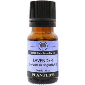 Product Image for  Lavender Essential Oil