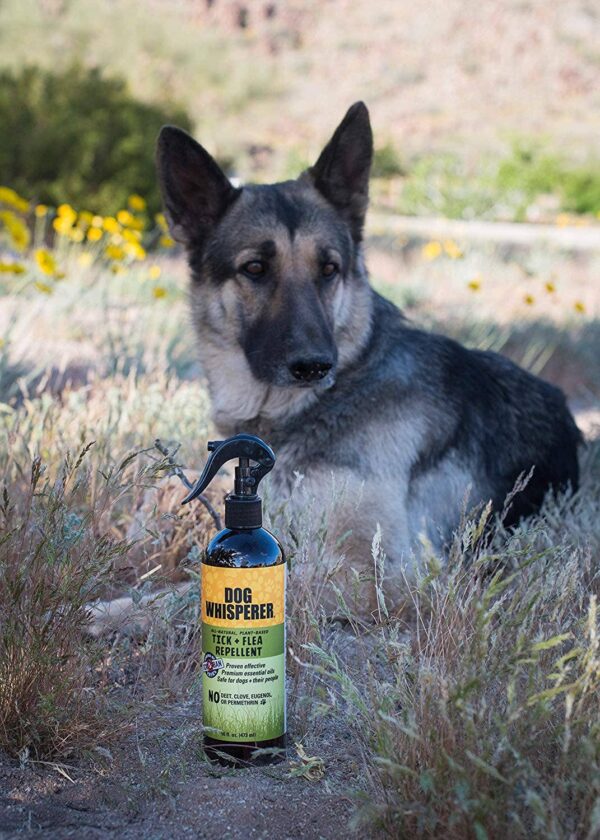 Product Image for  Dog Whisperer Tick + Flea Repellent – 16 oz.