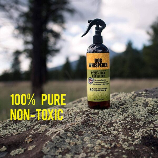 Product Image for  Dog Whisperer Tick + Flea Repellent – 16 oz.