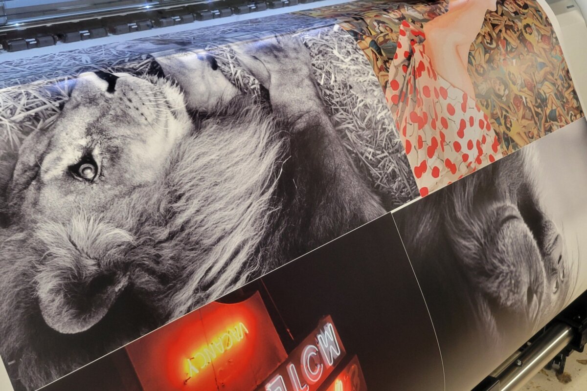 Downloaded from Shopify for use with Vendor ID (932) and Product ID (7178473799744). Product Image for Wrapping Paper