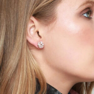 Product Image for  Round Drusy Post Earrings