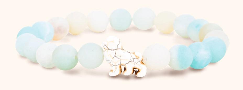 Downloaded from Shopify for use with Vendor ID (979) and Product ID (8340703346982). Product Image for The Excursion Bracelet – Track a Lion