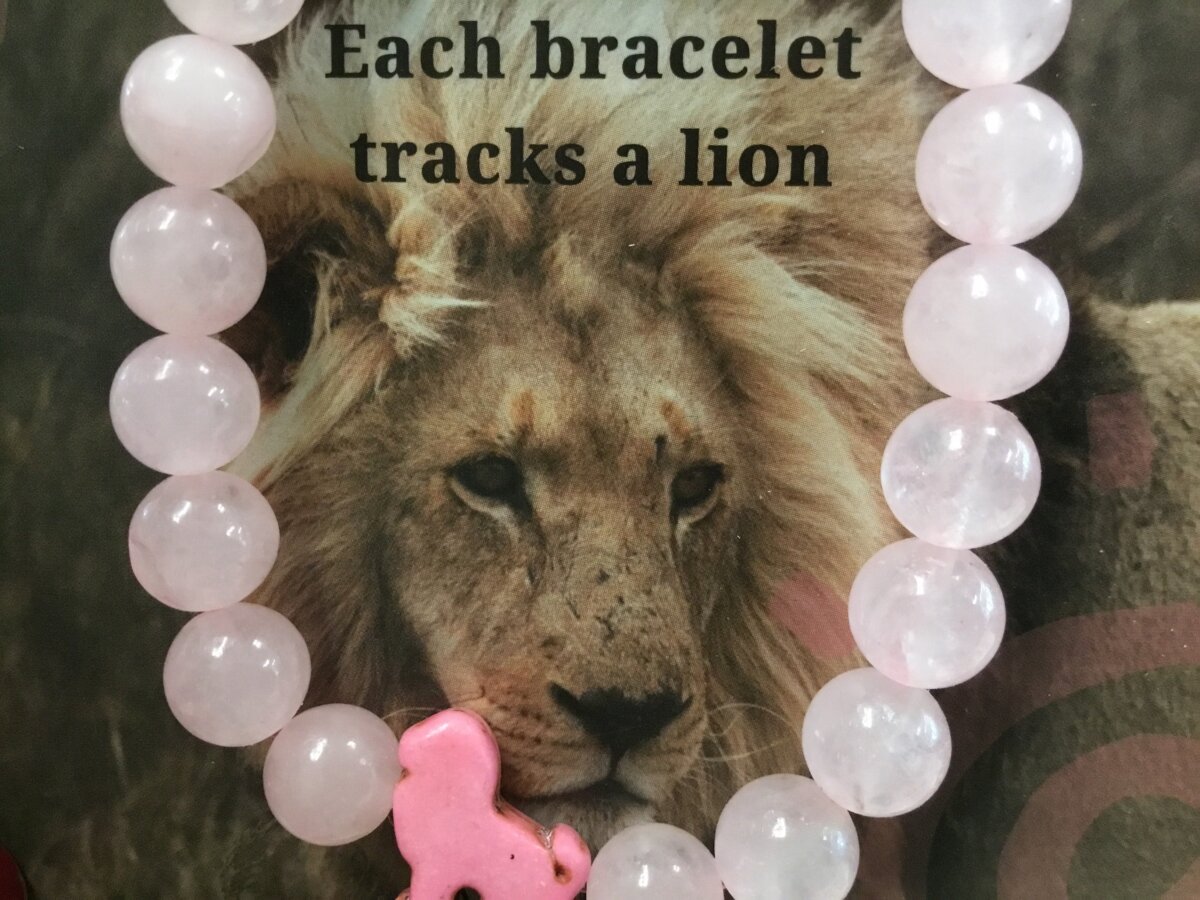 Downloaded from Shopify for use with Vendor ID (979) and Product ID (8340703346982). Product Image for The Excursion Bracelet – Track a Lion