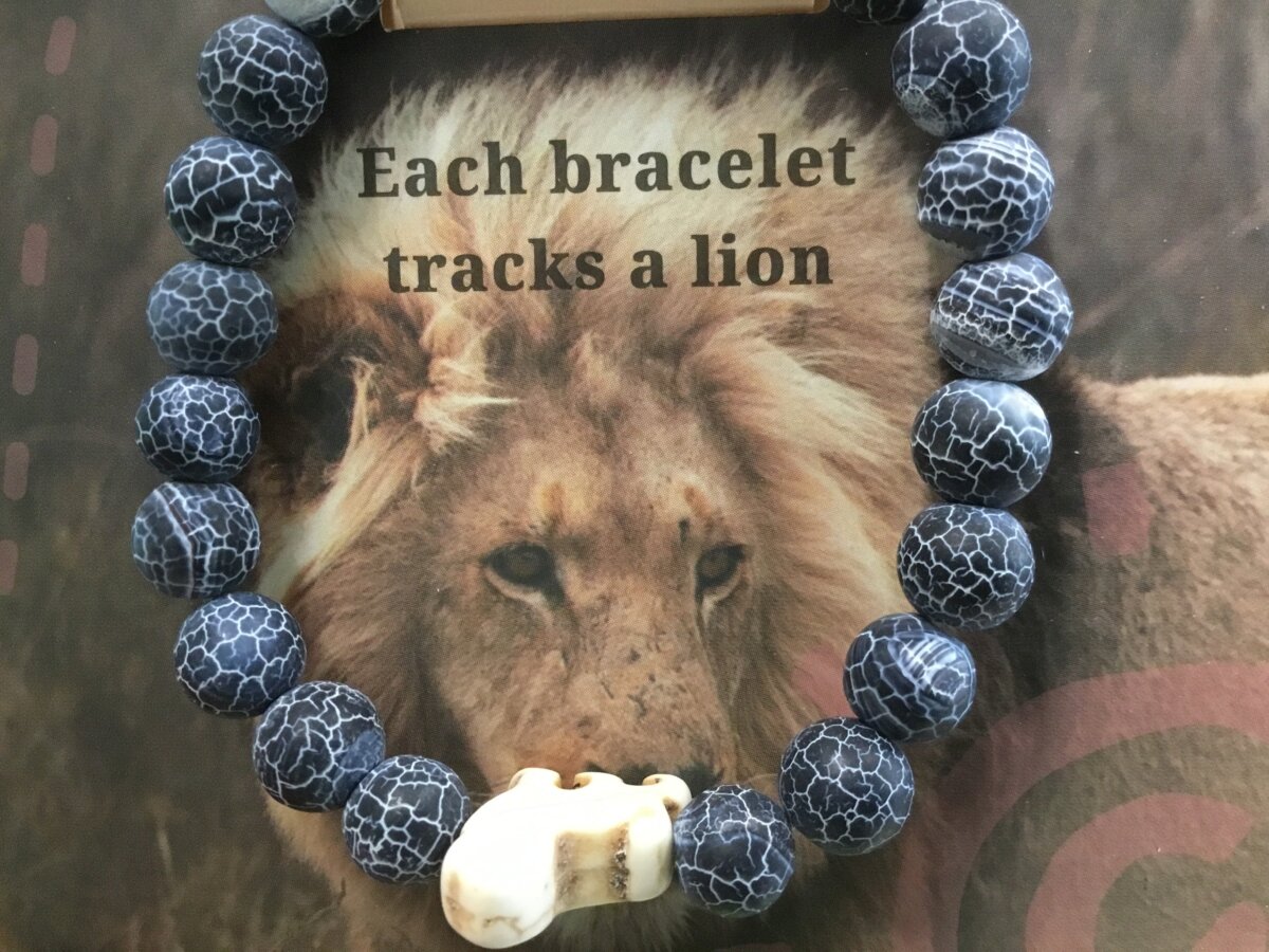Downloaded from Shopify for use with Vendor ID (979) and Product ID (8340703346982). Product Image for The Excursion Bracelet – Track a Lion