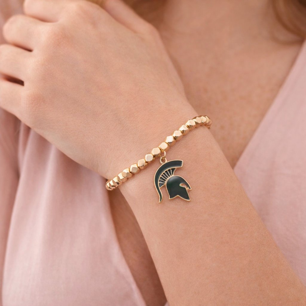 Statebracelet Product Image for Michigan State Bracelet