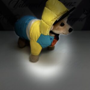 Product Image for  Pet coats