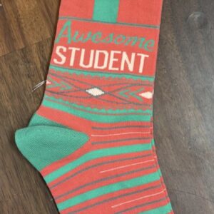 Product Image for “Awesome Student” Socks – 4 Pairs Available
