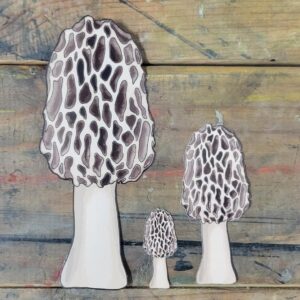 Product Image for Morel Mushroom Decal | Weatherproof Contour-Cut Sticker | Made in Michigan