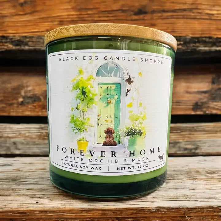 Downloaded from Shopify for use with Vendor ID (1042) and Product ID (8195910729860). Product Image for Forever Home Double Wick Candle – White Orchid & Musk