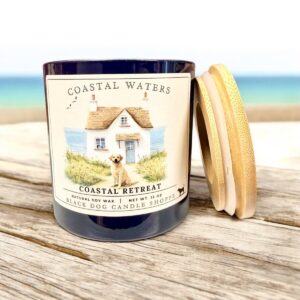 Product Image for Coastal Retreat Candle DW Coastal Waters