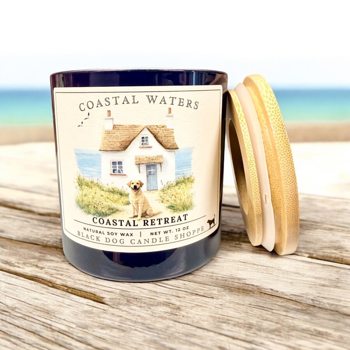 Downloaded from Shopify for use with Vendor ID (1042) and Product ID (10204292251780). Product Image for Coastal Retreat Candle DW Coastal Waters