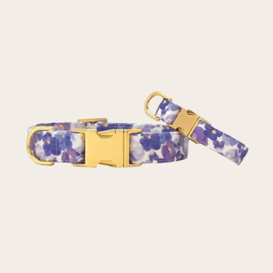 Downloaded from Shopify for use with Vendor ID (1042) and Product ID (10233076351108). Product Image for Pressed Pansies Spring Dog Collar