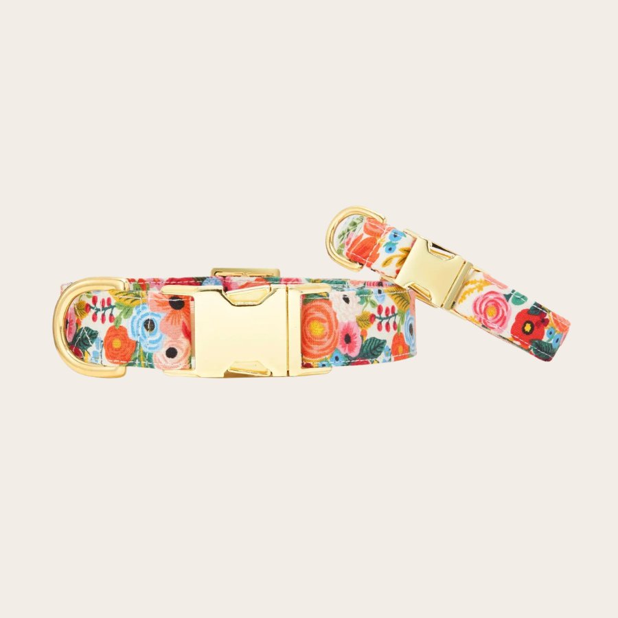 Downloaded from Shopify for use with Vendor ID (1042) and Product ID (10233079070852). Product Image for Garden Party Dog Collar