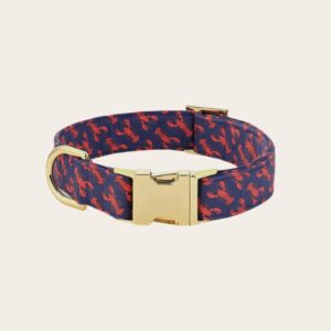 Product Image for Catch of the Day Dog Collar