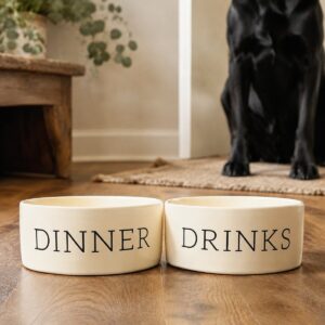 Product Image for Dinner and Drinks Dog Bowls