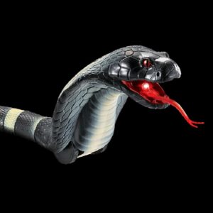 Product Image for Slithering Snake Rc