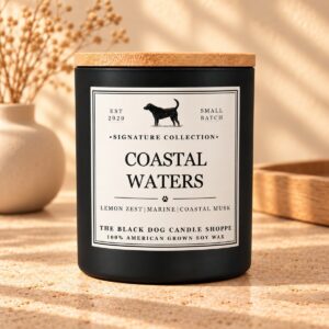 Product Image for Coastal Waters Soy Candle | Signature Collection